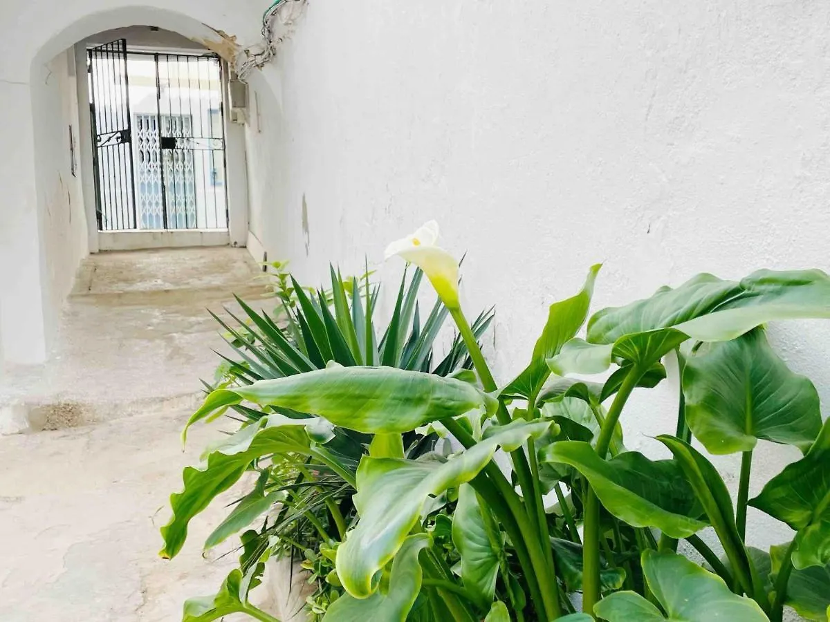 Apartamento Alazul Campillo Conil De La Frontera 0*,  İspanya